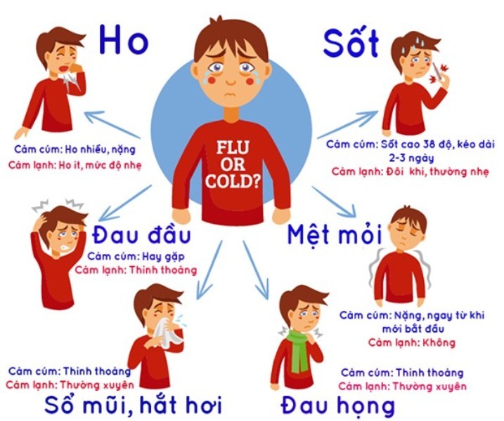 benh-cum-dang-bung-phat-nhu-the-nao-cach-phong-ngua-benh-cum-4-1738824033.jpeg